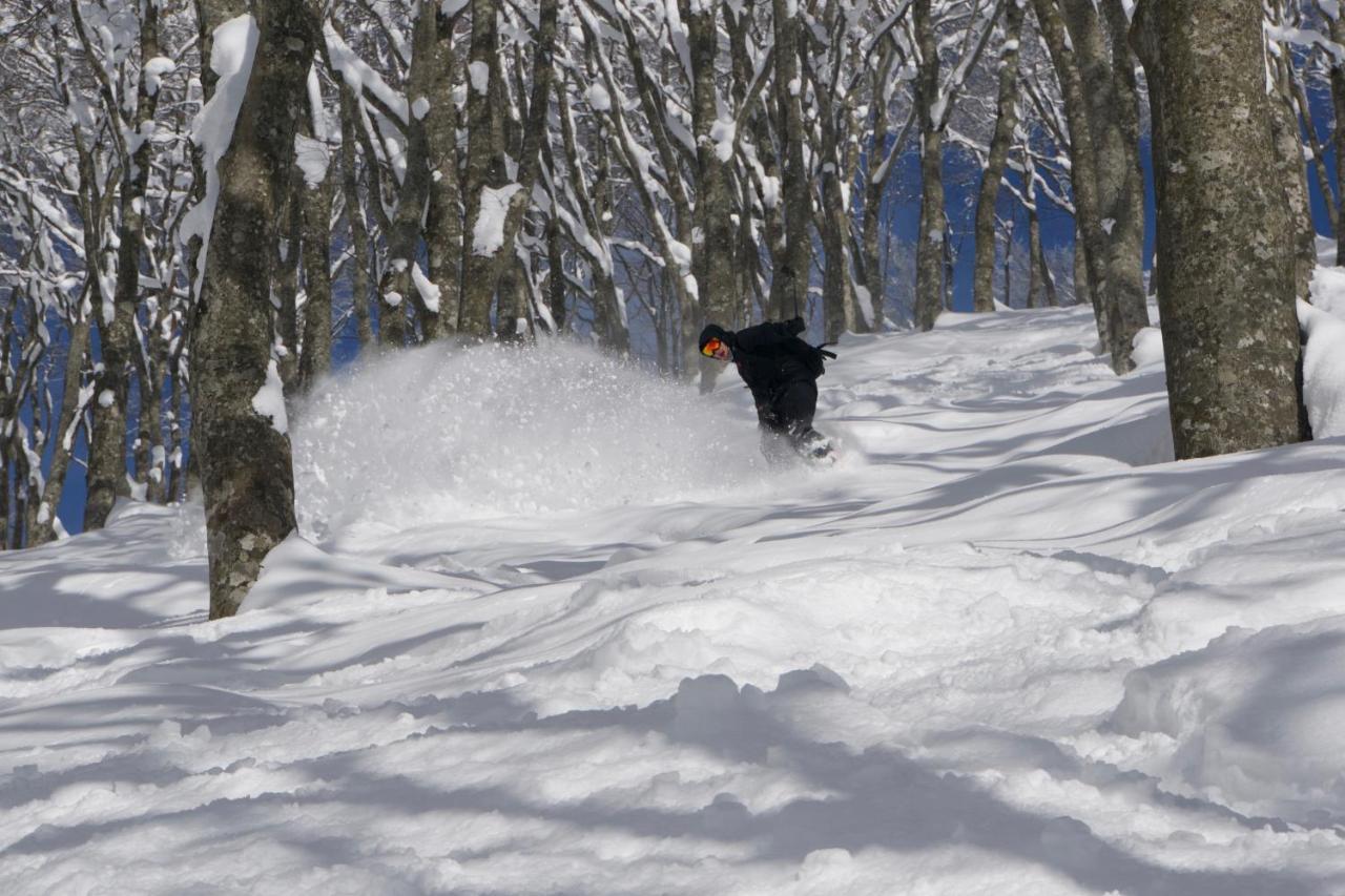 Monkey Rider Hotel Hakuba Ngoại thất bức ảnh